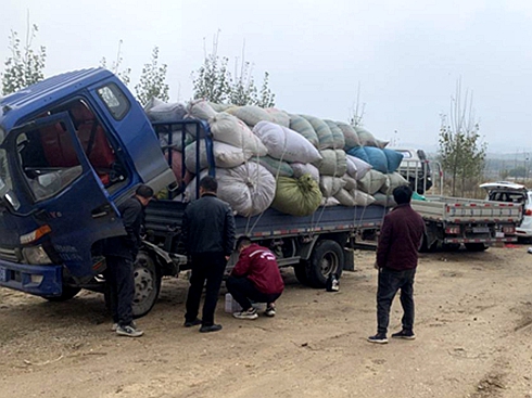 1̖(h��o)����(w��) ����1�����Ñ����N�ĵġ�܇(ch��)�ܼҡ�