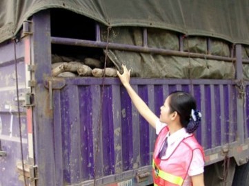 9���_ʼ ��ֹͨ���M©�� ������������ͨ������