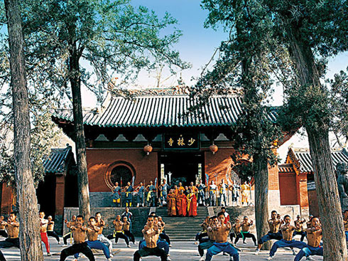 һ����ţ����ǽ����е������Ɇ���