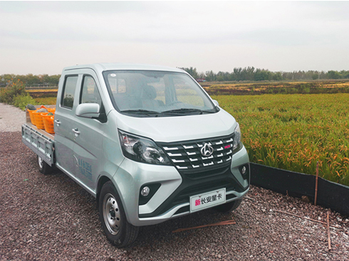 ����d ��(d��ng)����(qi��ng) �`��ʡ�� ���L���ǿ� ܇݆�ϵġ��S����